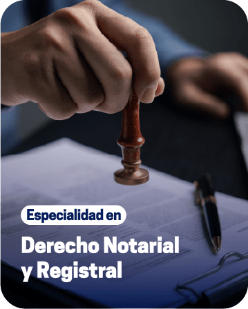 Recurso 12