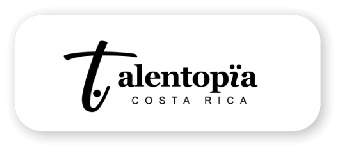 Logo 13